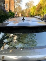 HOW ARTIFICIAL BIRD POOP KEEPS YOUR PAINTWORK SAFE IN THE...