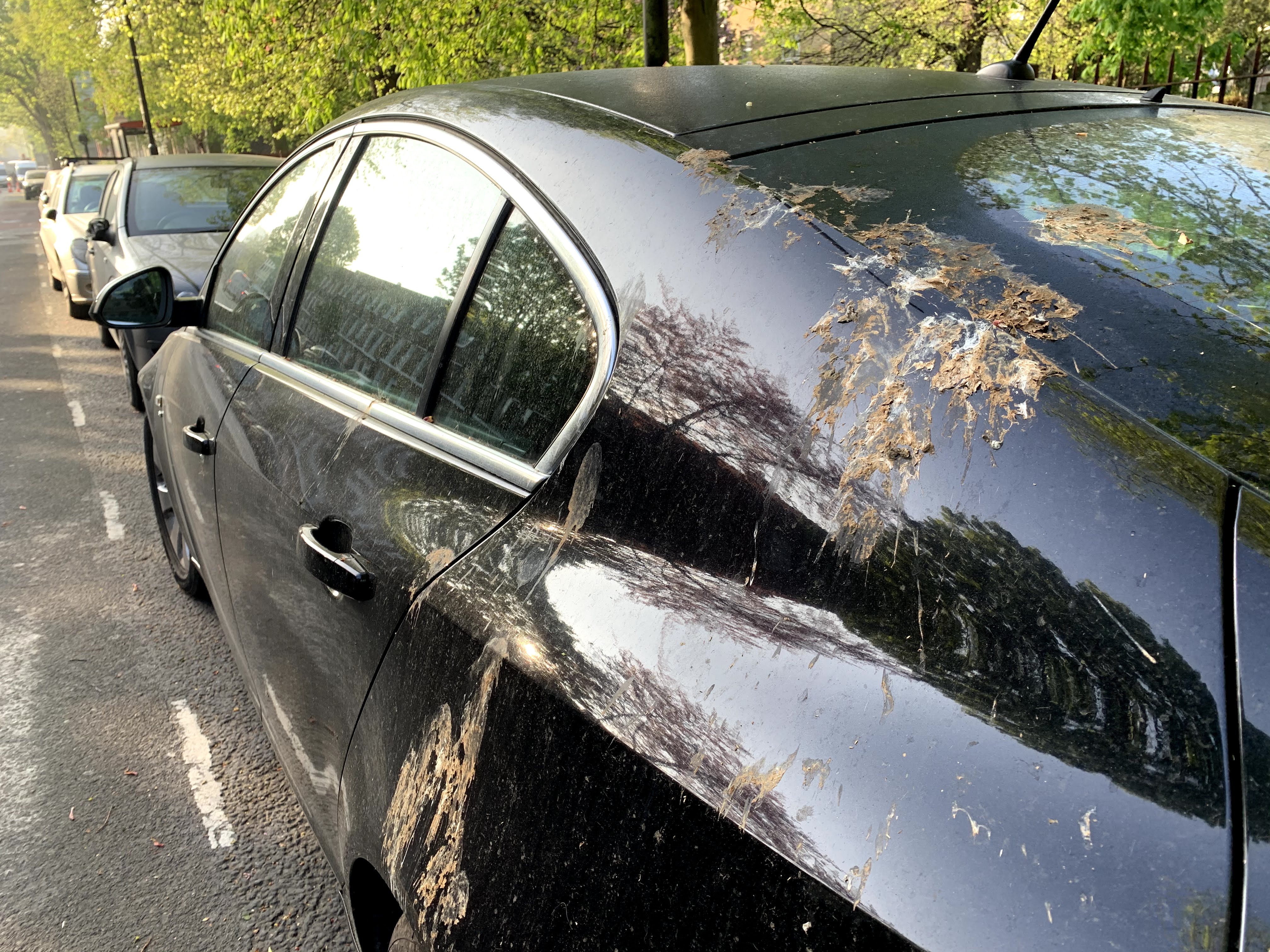 How Artificial Bird Poop Keeps Your Paintwork Safe in the Real World