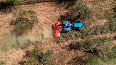 Parts of Your Future Car Could be Made from Olive Trees 