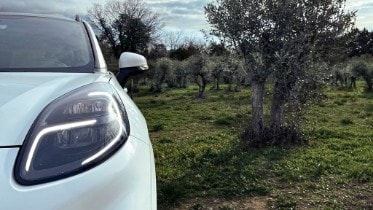 Parts of Your Future Car Could be Made from Olive Trees 