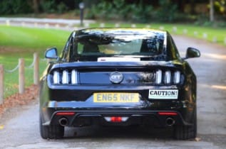 FORD MUSTANG SAVVY:  BEST FUEL ECONOMY LEAP EVER IN ANNUA...