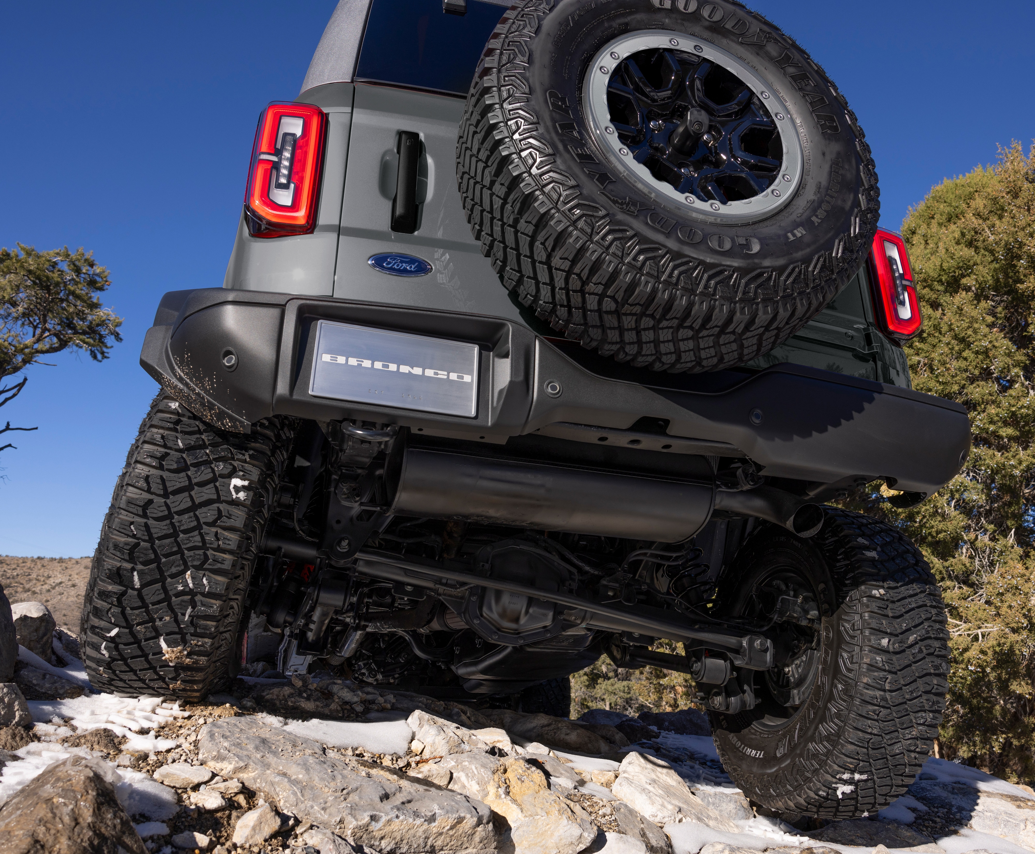 Bronco | ALSRAC Productions, image size:4000x3302