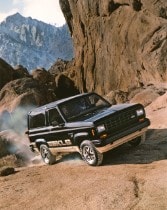 1984 Ford Bronco II