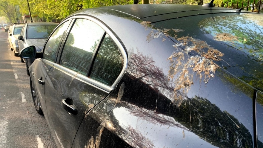 How Artificial Bird Poop Keeps Your Paintwork Safe in the Real World, Ford  of Europe