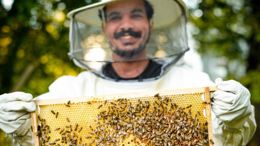 How Syrian Refugees are Rebuilding Their Lives in Europe by Joining the Fight to Help Save the Bees 