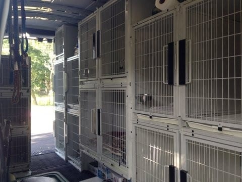 7. Shultz's Guest House's Dog Rescue Van